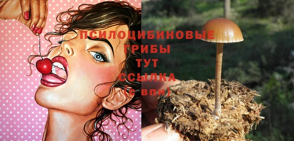 дурь Белокуриха