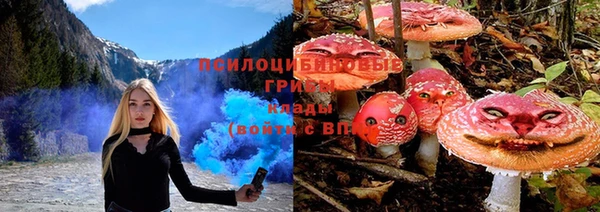 дурь Белокуриха